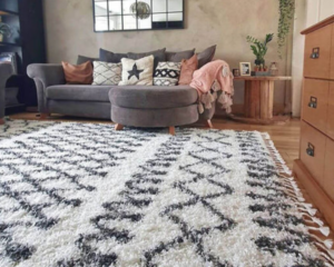 Modern home with clean carpet
