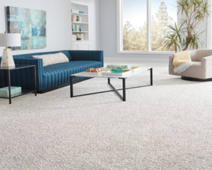 Modern home with clean carpet (2)