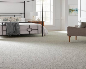 Modern home with clean carpet