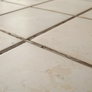 Close-up of tile grout lines showing dirt buildup from everyday use