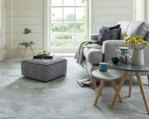 8 Modern home with clean carpet